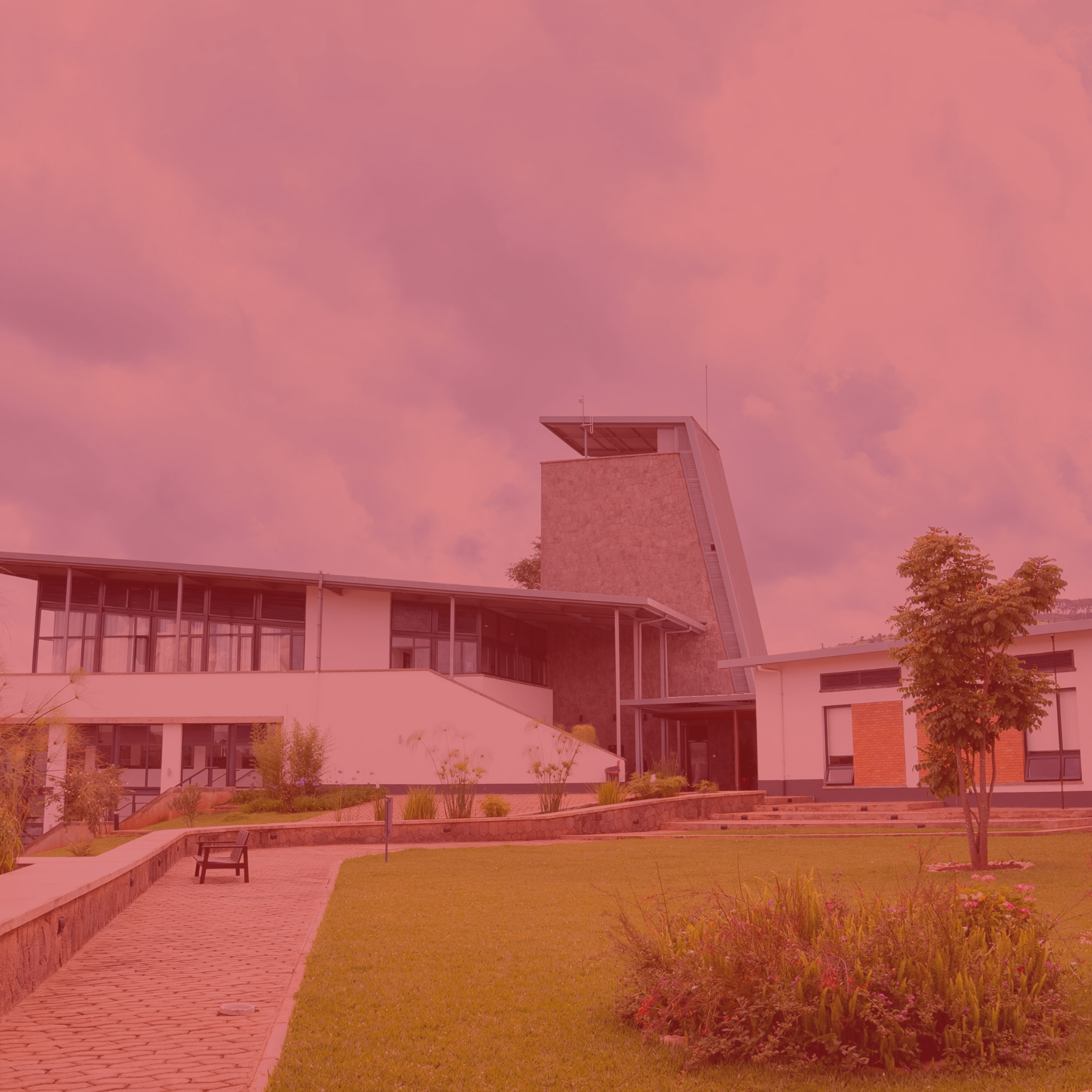 Naming Opportunities