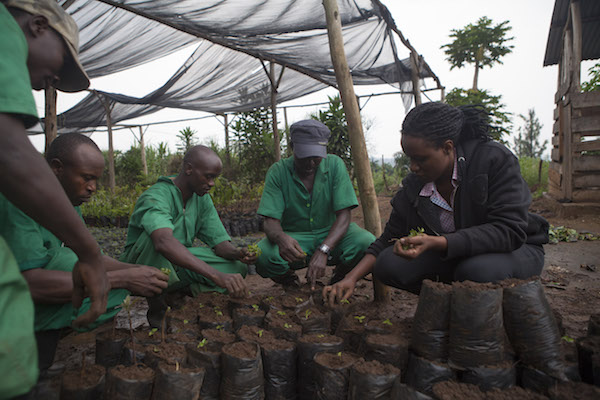 Caroline Numuhire '17 works with farmers at GHI