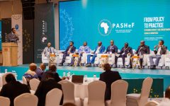 54929292391_a6ac4a5cce_o