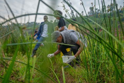 2024_ughe_onehealth_fieldschool_pmugemana1504_53707441807_o (1)
