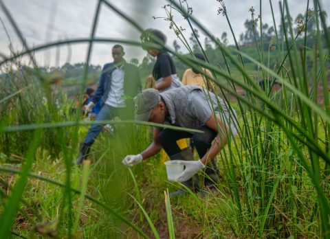 2024_ughe_onehealth_fieldschool_pmugemana1504_53707441807_o (1)