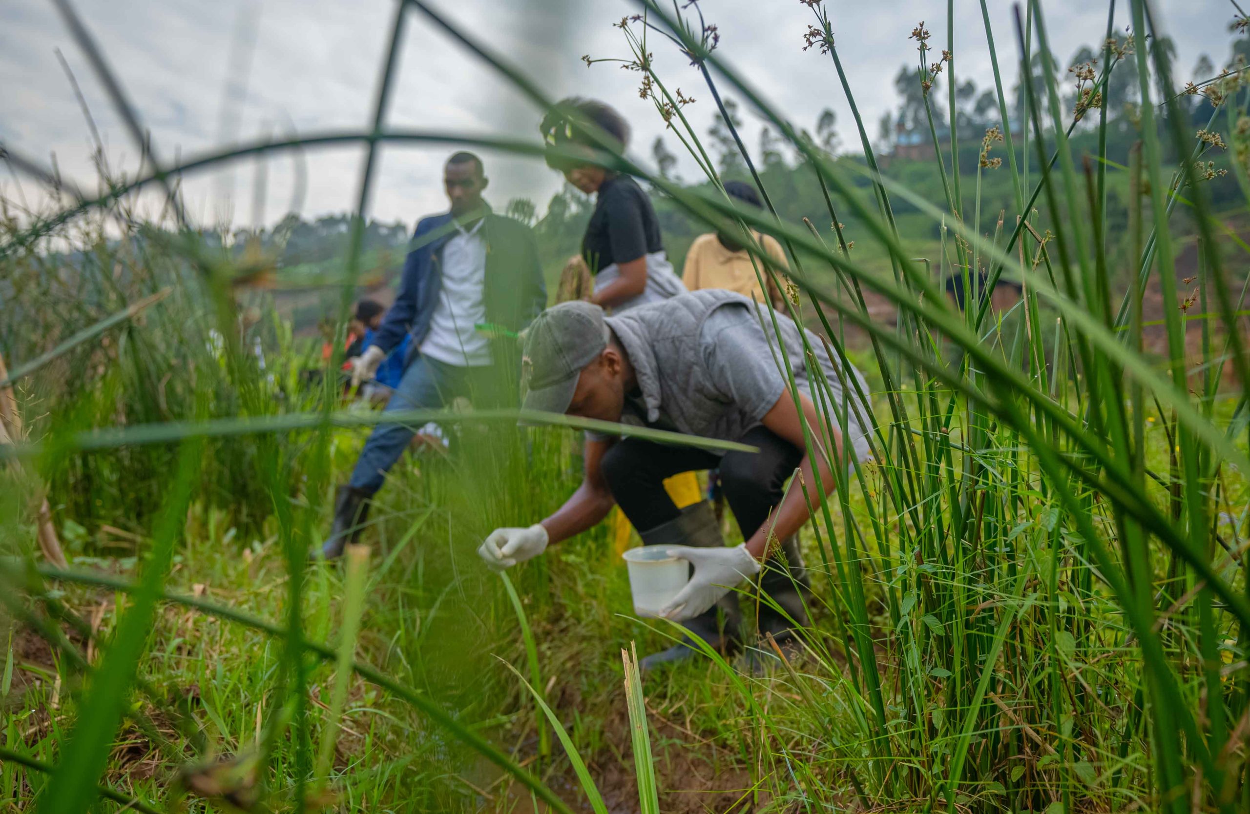 UGHE Ranks Fifth Globally in Medicine for Planetary Health